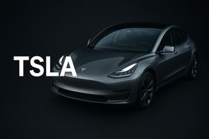 TSLA Investors Allocation Grid December 2025